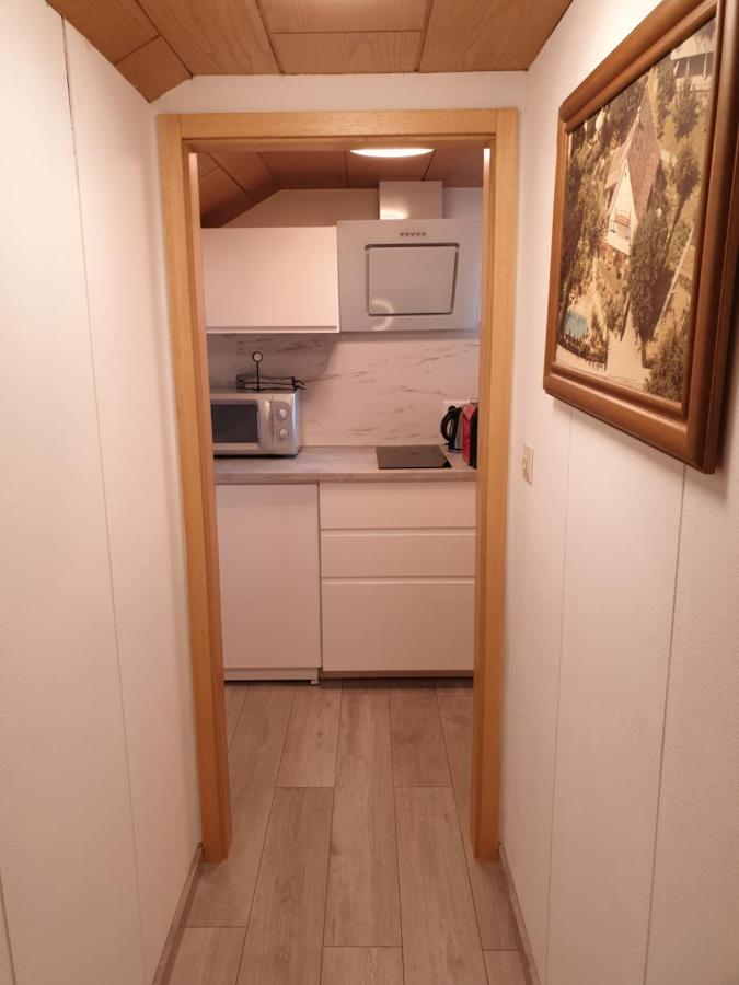 Sonnige Ruhige Dachzimmer Inkl Wifi Plus Kaffee Mit Wg Dusche Und Neuer Kueche Lörrach Eksteriør bilde
